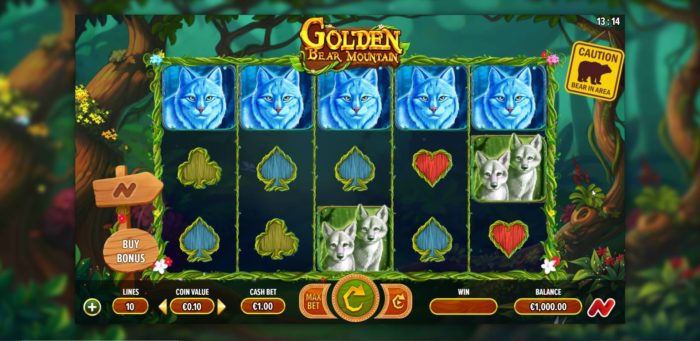 Screen shots Image