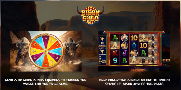 Screen shots Image